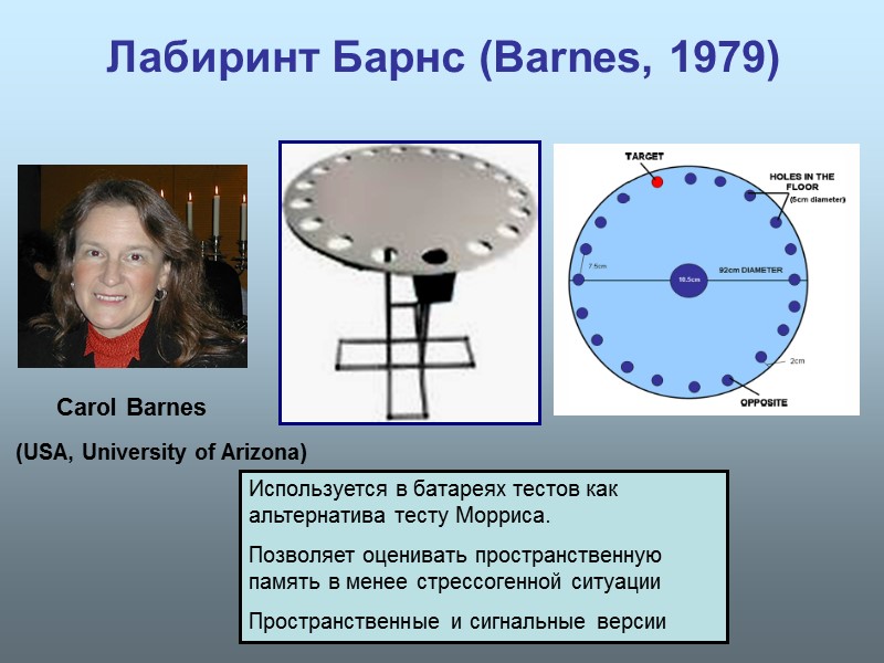 Лабиринт Барнс (Barnes, 1979)        Carol Barnes 